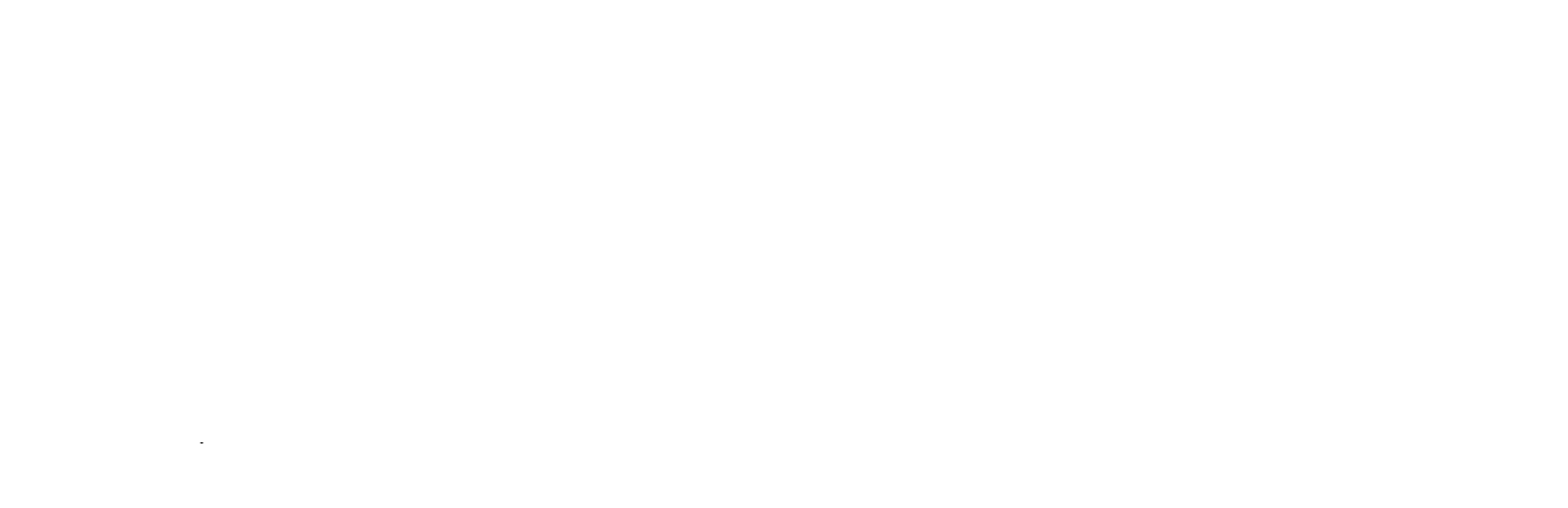 aimz Logo